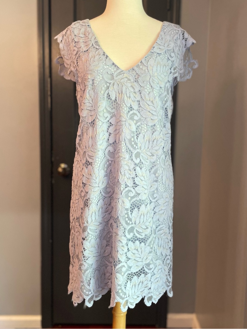 BB Dakota Blue Scallop Lace Lined V-Neck Shift Dress